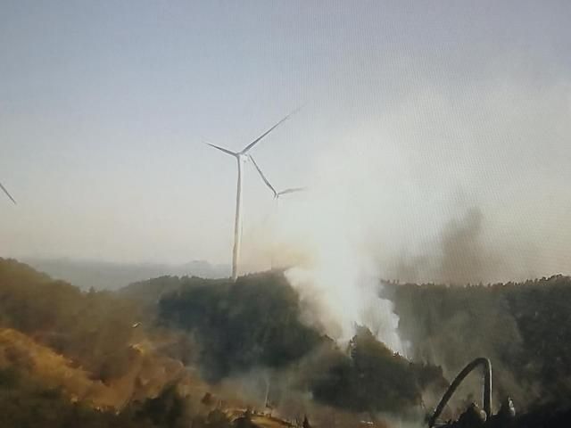 완도 산불 사진연합뉴스·전남소방본부