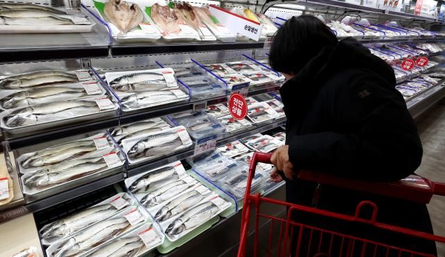고등어가 가파른 가격 상승세를 보이고 있다지난 2일 서울의 한 대형마트에서 시민이 생선코너를 살펴보고 있다 사진연합뉴스 