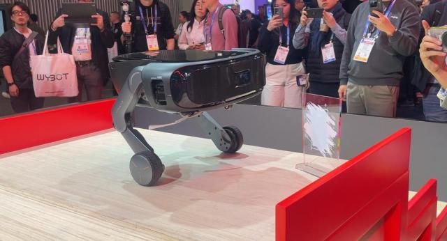 사진이효정 기자