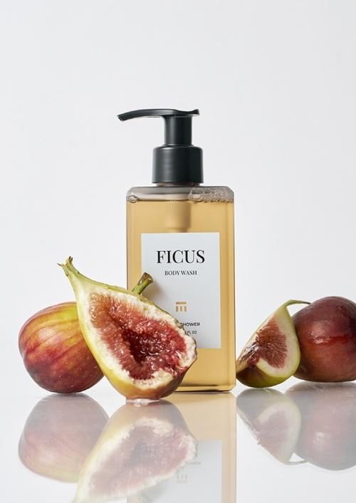 사진테이크어샤워