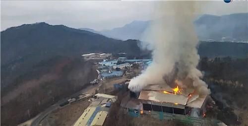 사진산림청·연합뉴스