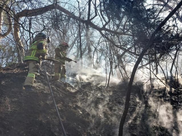 산불 현장 사진창원소방본부