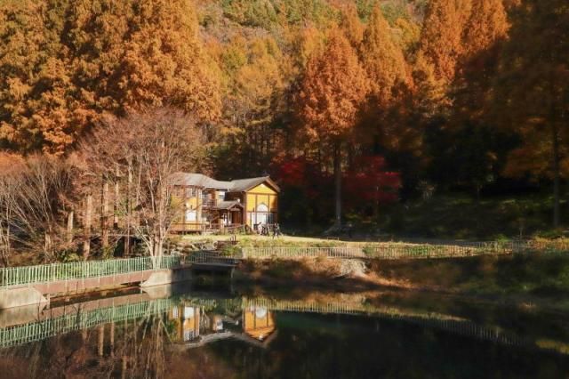 온빛자연휴양림사진논산시