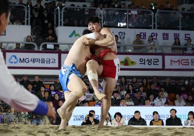 설날장사씨름대회 백두급사진태안군