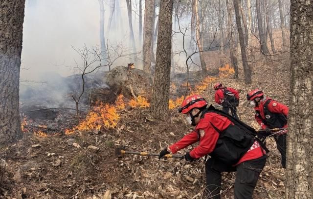 사진산림청·연합뉴스