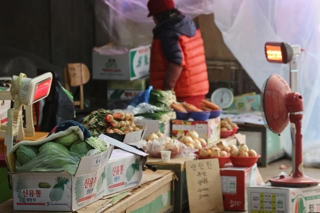 지난달 21일 서울 인왕시장에서 한 상인이 채소에 이불을 덮어놓은 채 장사를 하고 있다