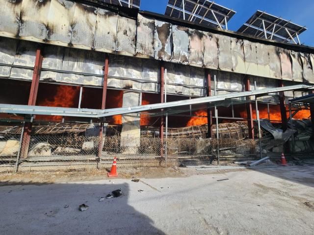 충북 영동군의 한 양계장에서 화재가 발생했다 사진영동소방서