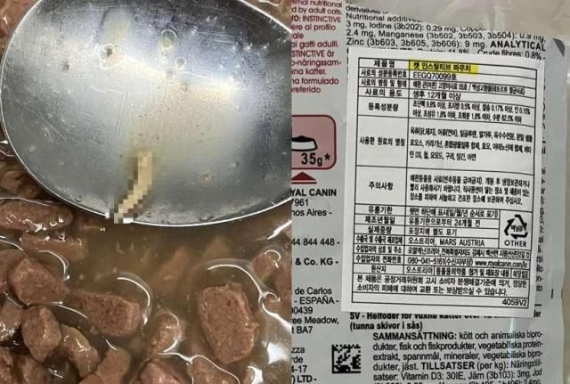 로얄캐닌 캣 인스팅티브 파우치에서 발견된 이물질 사진 사진온라인 커뮤니티 캡처