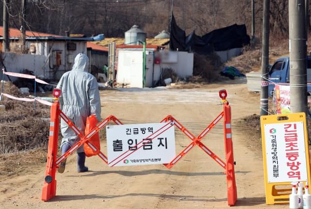 2월 20일 아프리카돼지열병ASF이 발생한 경기도 평택시 한 돼지농장에서 관계자들이 출입을 통제하고 있다사진연합뉴스