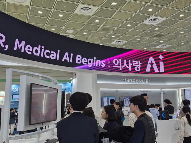 사진박보람 기자