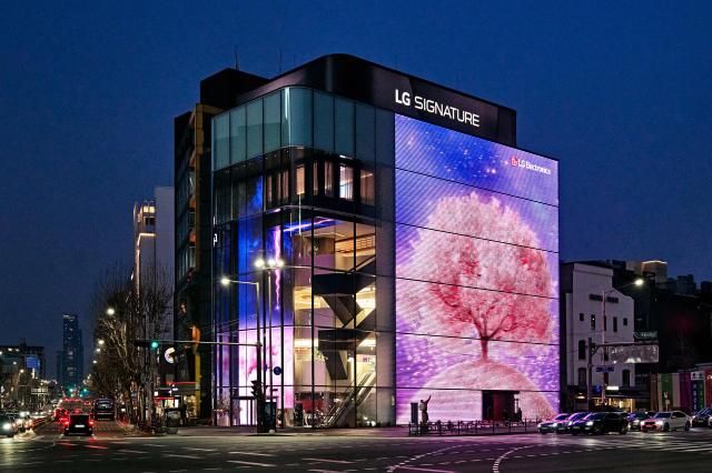 LG전자 플래그십 D5 벚꽃 미디어 파사드 사진LG전자