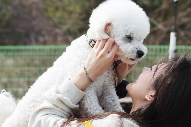 국제 강아지의 날인 23일 경기도 화성시 반려마루 화성에서 봉사자가 입양을 기다리는 강아지를 안아주고 있다 사진연합뉴스