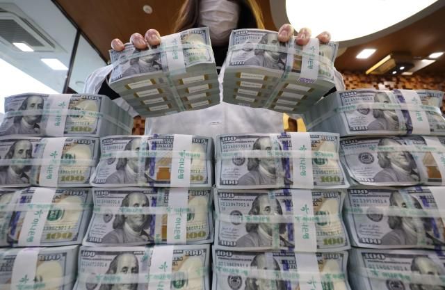 서울 중구 을지로 하나은행 본점 위변조대응센터에서 직원이 달러화를 정리하고 있는 모습 사진연합뉴스 