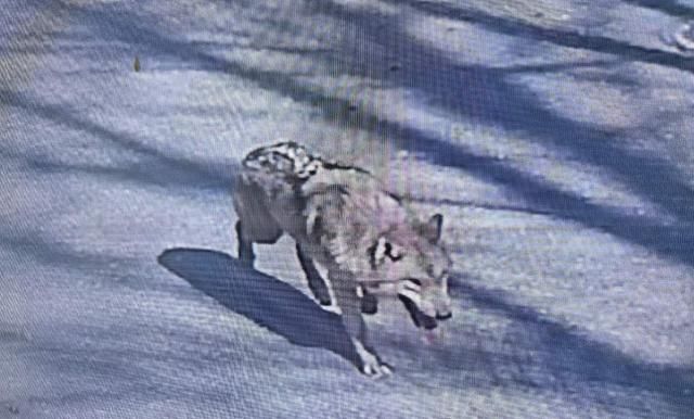 사진대전소방본부·연합뉴스