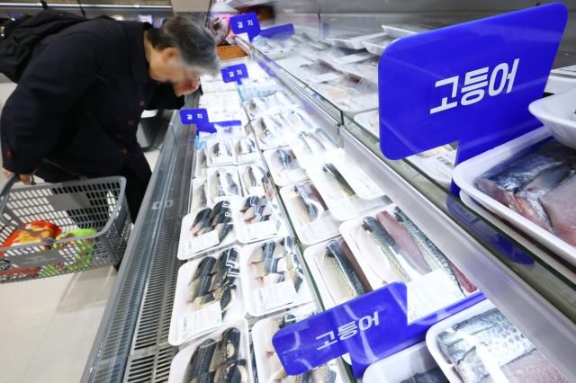 고등어 최대 50 할인…대한민국 수산대전 개최 서울연합뉴스 진연수 기자 해양수산부는 수산인의 날을 앞두고 봄철 제철 수산물 소비를 촉진하고 물가 안정을 도모하기 위해 대한민국 수산대전을 개최한다 이번 행사는 다음 달 12일까지 전국 56개 온오프라인 판매처에서 진행되며 명태·고등어·갈치·오징어 등 주요 수산물을 최대 50 할인된 가격에 구입할 수 있다 사진은 25일 서울의 한 대형마트 수산물 코너에서 장 보는 시민 2026325 jin90ynacokr2026-03-25 130548 저작권자 ⓒ ㈜연합뉴스 무단 전재 재배포 금지 AI 학습 및 활용 금지저작권자 ⓒ ㈜연합뉴스 무단 전재 재배포 금지 AI 학습 및 활용 금지