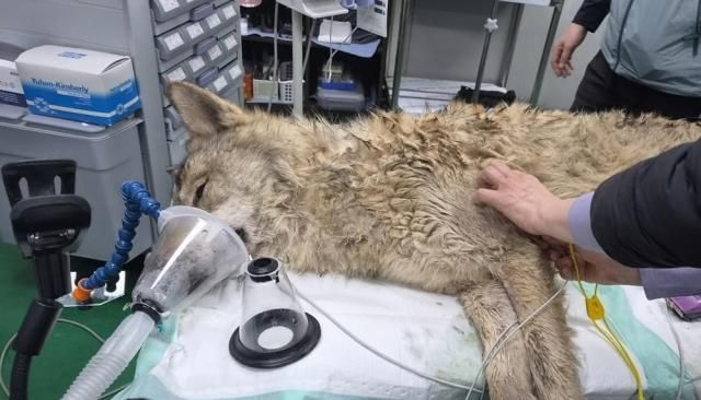 사진연합뉴스·대전시 제공