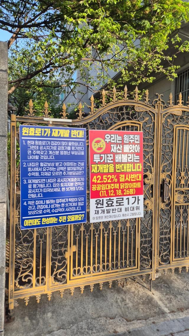 사진백소희 기자