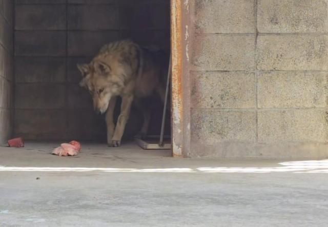 사진오월드 SNS 캡처