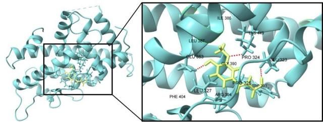 인공지능AI 분자 모델링 기술을 활용한 페룰릭산 효능 실험사진LG생활건강