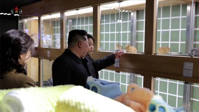 김정은 북한 국무위원장이 화성지구 4단계 구역에 개업을 앞둔 봉사시설들을 돌아봤다고 조선중앙TV가 3일 보도했다 김 위원장이 딸 주애와 화성애완동물상점을 둘러보고 있다 사진연합뉴스