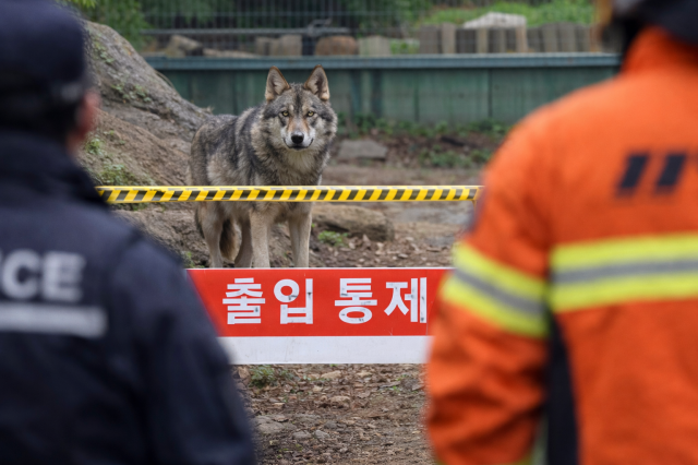 사진ai가 생성한 이미지