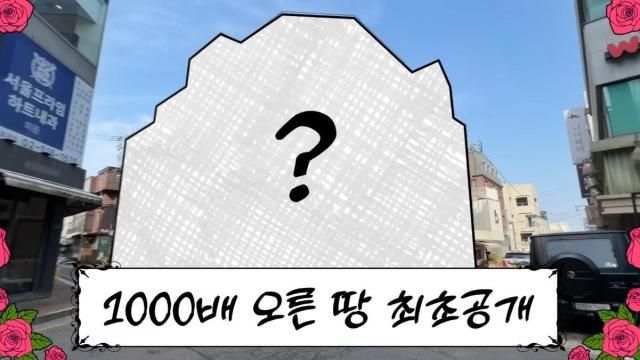배우 선우용여의 파란만장한 부동산 일대기가 공개됐다 사진유튜브 채널 순풍 선우용여 영상 캡처