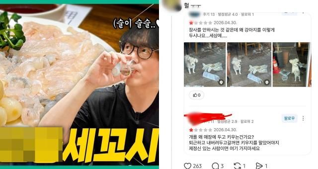 사진성시경 유튜브 채널 캡처 온라인 커뮤니티 캡처