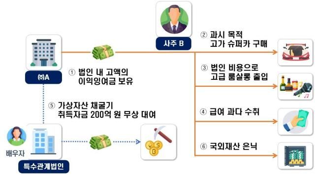 사주가 법인 명의로 슈퍼카를 구매하거나 법인 비용으로 고급 룸살롱 출입 고액 급여 수취 등의 방법으로 법인자금을 유출한 사례 개요자료국세청