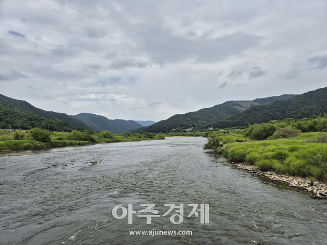 섬진강 침실습지 사진최예지 기자