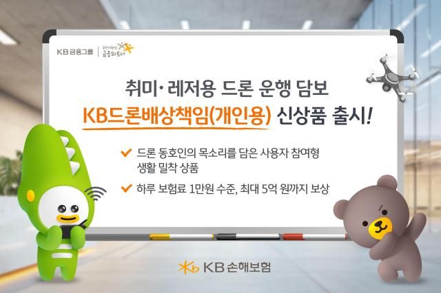 사진KB손해보험