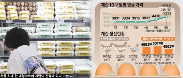 계란 10구 월평균 가격 그래픽아주경제 미술팀