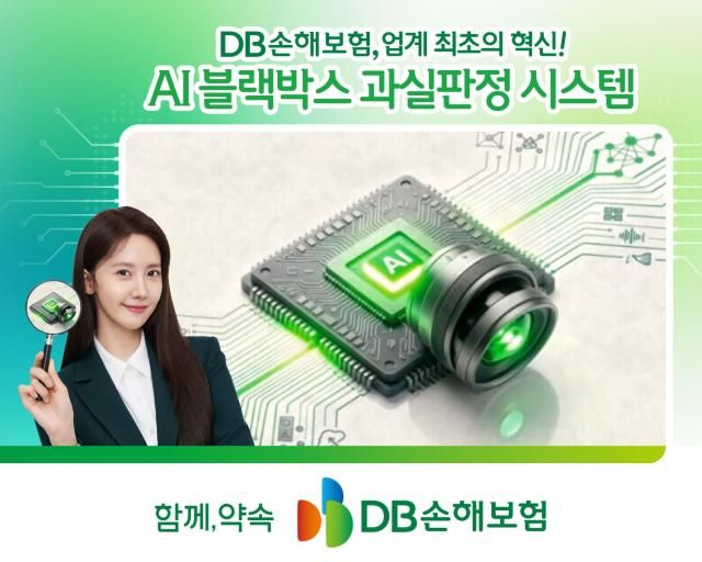 사진DB손해보험