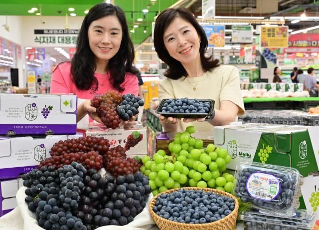 28일 서울 서초구 하나로마트 양재점에 모델들이 다양한 포도와 블루베리를 소개하고 있다 사진농협유통
