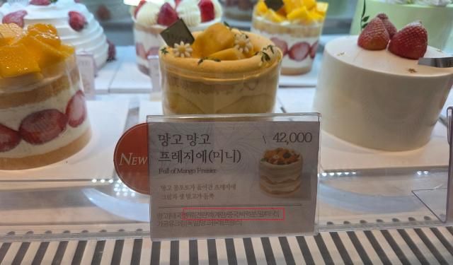 현대백화점 신촌점에서 판매 중인 ‘망고 망고 프리지에미니’ 제품 원재료명에 중국산 계란으로 만든 전란액이 사용됐다고 표기돼 있다 사진조재형 기자