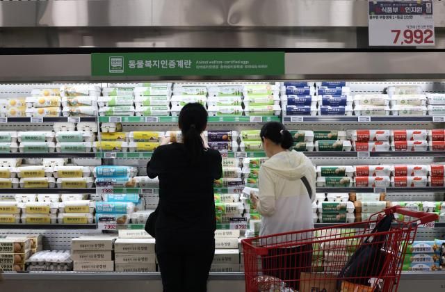 서울 시내 한 대형마트에서 시민들이 장을 보고 있다 사진연합뉴스