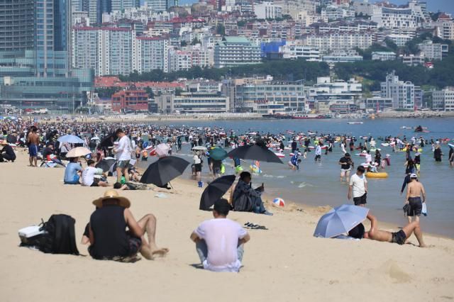 사진연합뉴스