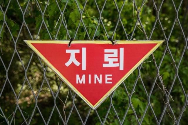 서부전선에서 비무장지대를 수색 중 지뢰로 추정되는 폭발 사고가 발생했다사진Getty Images Bank