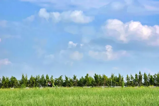 체험목장에서의 동물과의 만남