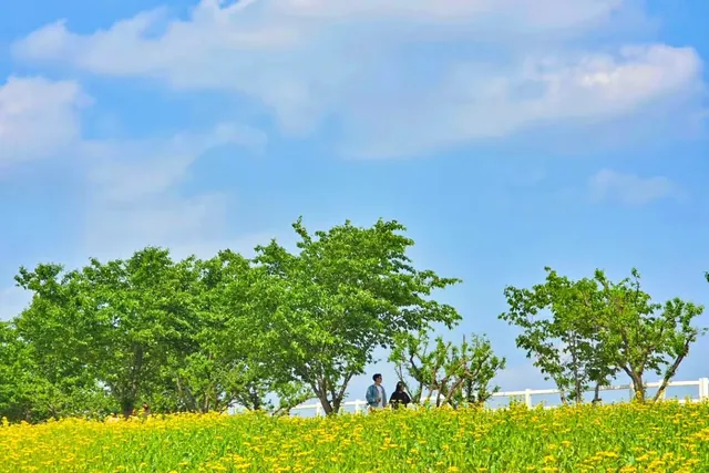 안성팜랜드의 봄