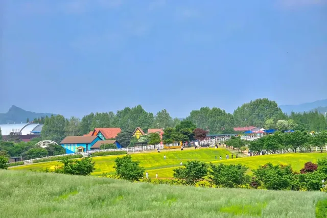 안성팜랜드의 다양한 봄꽃