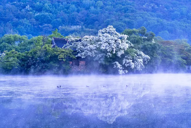 연못과 수목이 어우러진 경치