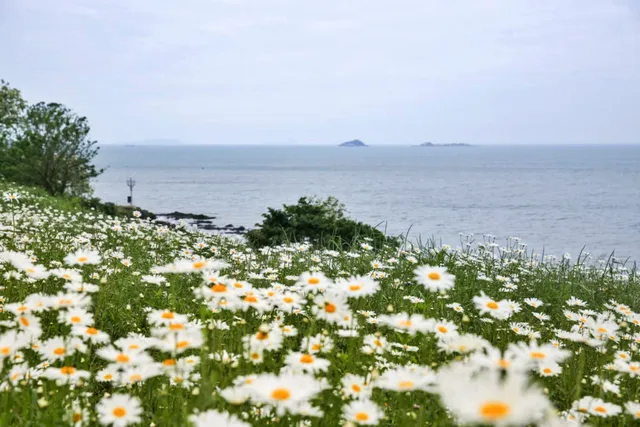 도청리 쉼터 주변