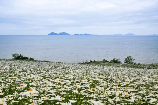 전망대에서 보이는 풍경