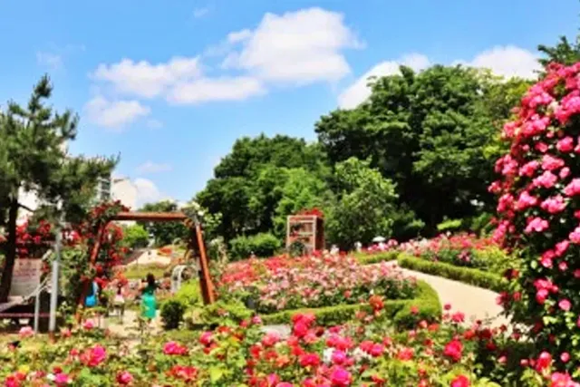 대현산 장미원 전경