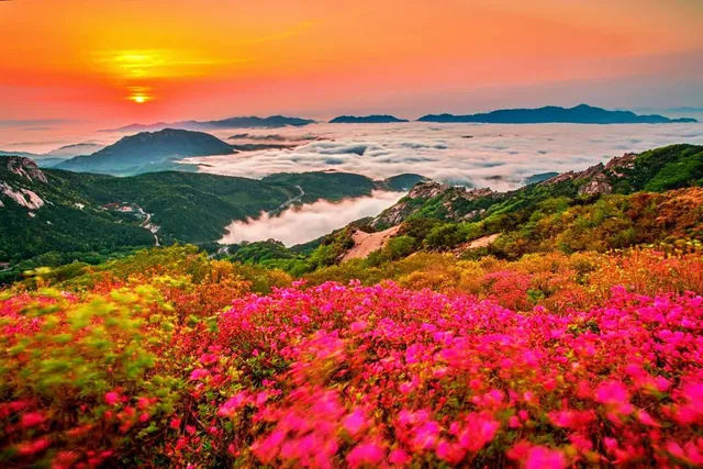 합천 황매산의 도슨트 프로그램