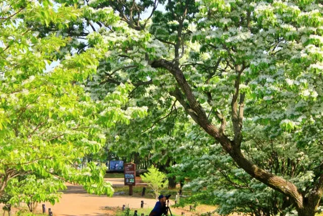 자연의 아름다움