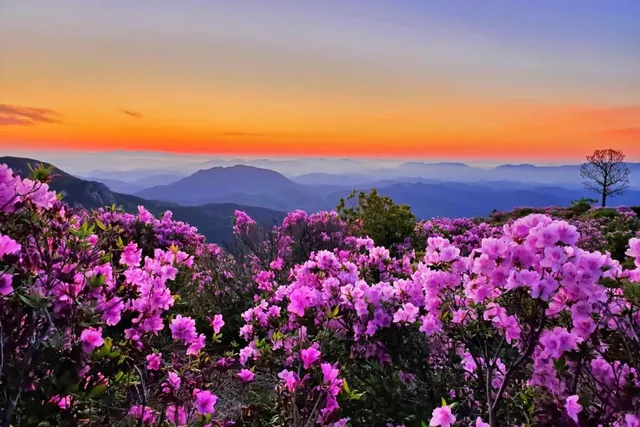 산청, 꽃이 피나 봄 축제 포스터