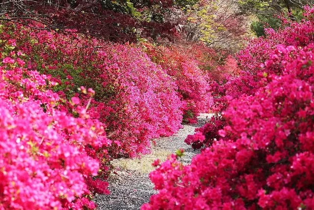 남미륵사 이미지
