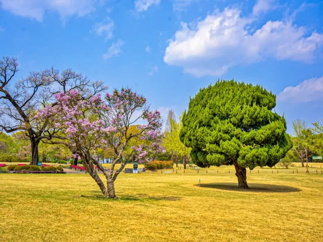 한적한 서부해당화의 모습