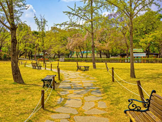 달성공원의 서부해당화 전경